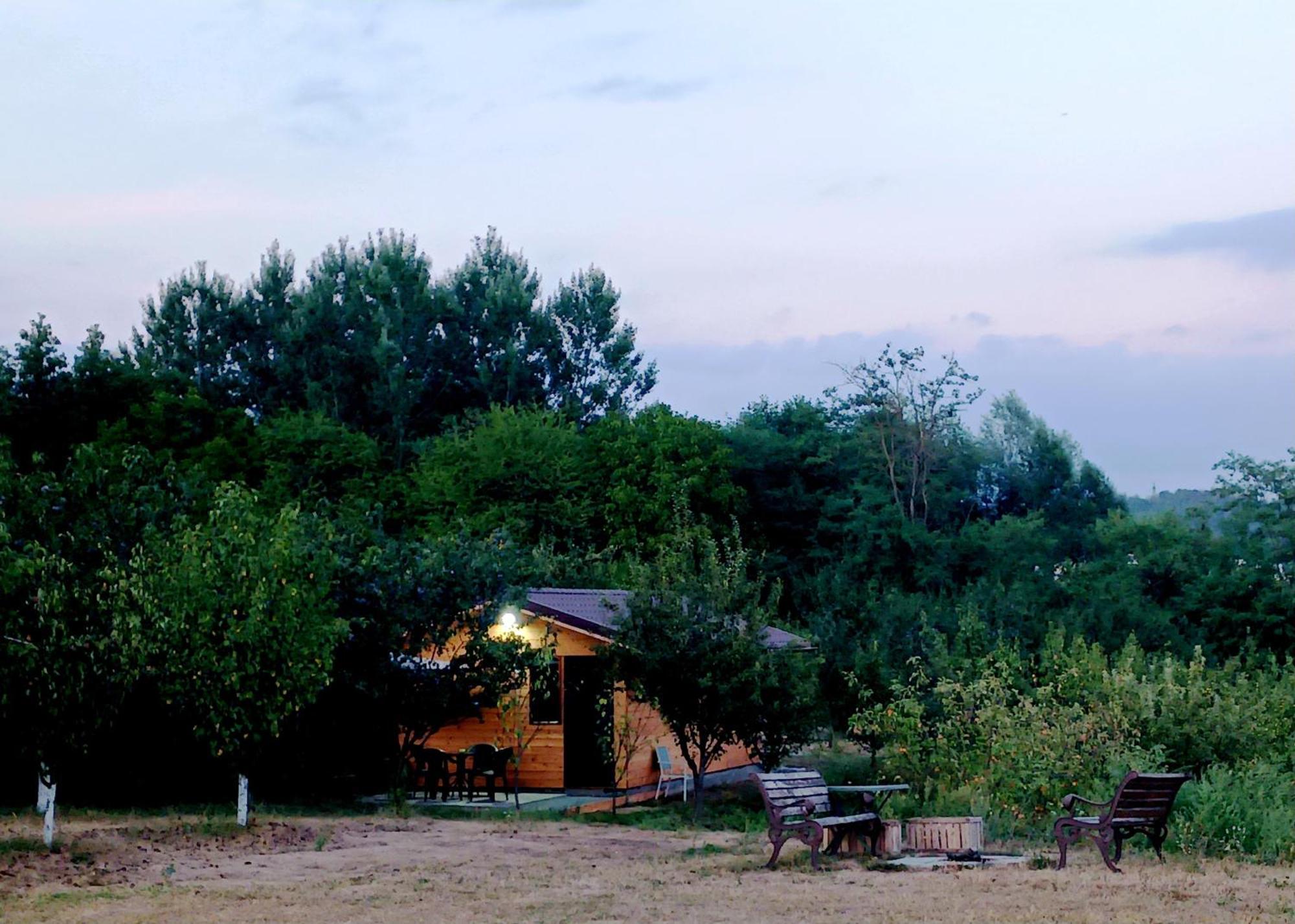 La Livada Villa Valea Danului Exterior photo